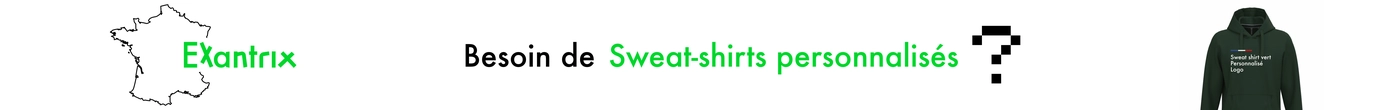 Sweat shirt personnalisé, flocage de pull pour logo d'entreprise