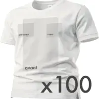 Lot 100 tee-shirts personnalisables en ligne