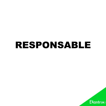 Responsable en Dtf impression pour pressage a chaud